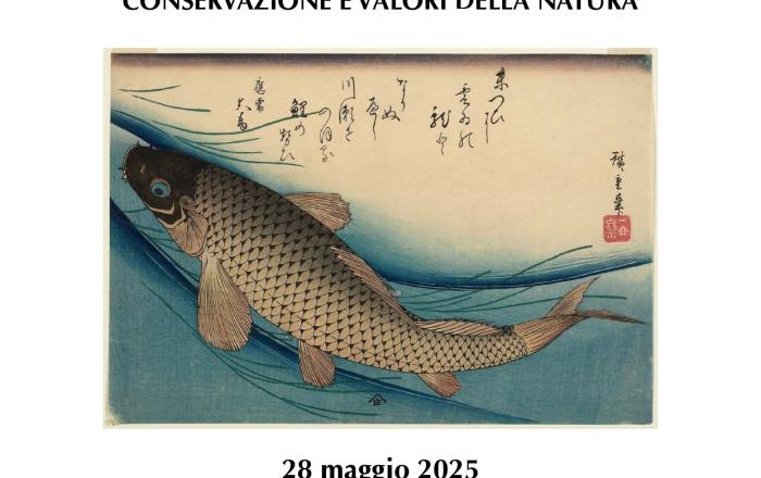 IL PESCE CHE SALTA IN UN FIUME LONTANO. CONSERVAZIONE E VALORI DELLA NATURA 