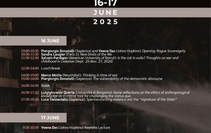 Rogue Sovereignty