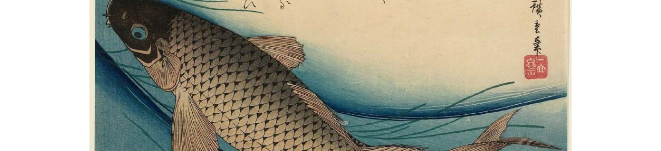 IL PESCE CHE SALTA IN UN FIUME LONTANO. CONSERVAZIONE E VALORI DELLA NATURA 